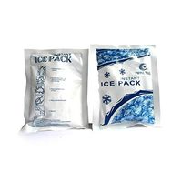 Overstock Disposable Gel Ice Packs - Set of 6