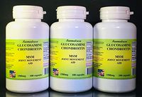 Glucosamine Chondroitin + MSM - 300 (3x100) Capsules