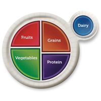 Nasco WA31490 MyPlate Paper Plates, Display USDA Dietary Guidelines, Package of 25