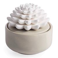 Airomé Succulent Passive White Porcelain Diffuser, Non-Electric, Battery-Free Fragrance and Essential Oil Diffuser With Peppermint Essential Oil, White Cactus with Beige Base