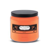 Beanpod Candles Scented Candles, Guava, 16 Ounce