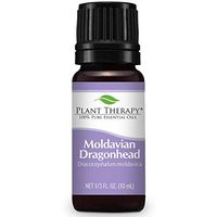 Plant Therapy Moldavian Dragonhead Essential Oil 10 mL (1/3 oz) 100% Pure, Undiluted, Therapeutic Grade