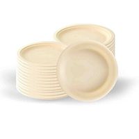 Big Party Pack Vanilla Crème Paper Plates | 9" | Pack of 50 | Party Supply