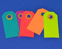 20 Medium Luggage Style Bright Coloured Tags for Crafts | Christmas Gift Wrap