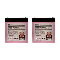 Razor E125 12v 5Ah Replacement Electric Scooter SLA CB1250 by Charity Battery - 2 Pack