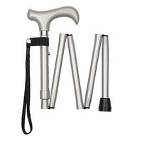 Handbag Size Metallic Silver/Grey Folding Cane