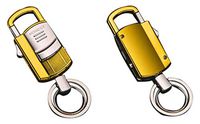 Niniesa 3 in 1 USB Rechargeable LED Lights And Electronic Cigarette Lighter (2 Extra Key Rings and Gift Box) GIFT Car Keychain for Men and Women (Gold)