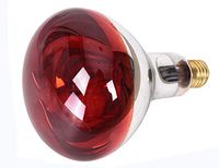 Infrared Lamp Bulb Accessory 110V for Elitzia Infrared Lamp Elitzia ETH311