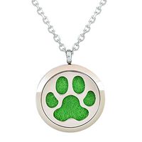 Aromatherapy Necklace - Pet Pow - Essential Oil Diffuser Necklace - Aromatherapy Jewelry - Stainless Steel with a Chain, 12 Insert Pads and a Gift Pouch - Best Aromatherapy Gift Set