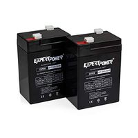 6V 5Ah SLA Rechargeable Battery -2 Pack