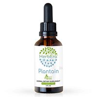 Plantain B60 Alcohol-Free Herbal Extract Tincture, Super-Concentrated Organic Plantain (Plantago Major) 2 fl oz
