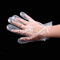 Disposable Vinyl Gloves, Non-Sterile, Powder Free, Smooth Touch, Food Service Grade [Boxed, 500 Pcs]