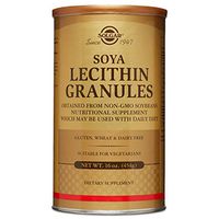 Solgar Lecithin Granules Supplement, 16 Ounce