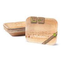 Naturally Chic Compostable Biodegradable Disposable Plates - Palm Leaf 6 x 5” Rectangle Small Dinnerware Set - Eco Friendly Alternative - Party, Wedding, Event Plates (25 Pack)