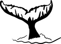 hBARSCI Whale Tail Vinyl Decal - 5 Inches - for Cars, Trucks, Windows, Laptops, Tablets, Outdoor-Grade 2.5mil Thick Vinyl - Black