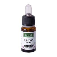 Fiori di Bach - Chestnut Bud 10 ml - Rimedio Naturale analcolico indicato per la mente, l'emotività e lo Stress - Prodotto erboristico Made in Italy