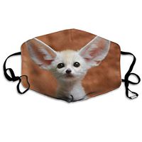 TDynasty Fennec Fox Unisex Mouth Mask Filters Breathable Masks Can Be Washed Reusable for Outdoor Cycling