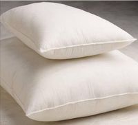 Bed Pillows - Disposable - 20" x 26" - 20 oz.
