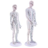 kesoto Acupuncture Point Model Female Male Black