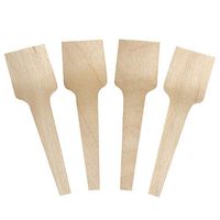 [25 Count] Wooden Mini Biodegradable Tasting Spoons Tiny 2.75 Inch Eco Friendly Square Gelato Spoons - Perfect for Sampling Food, Ice Cream, or Spices - Frozen Dessert Supplies