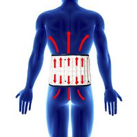 ZSZBACE Lumbar Traction Belt- Lower Back Decompression Brace- Spinal Air Traction Device- Back Pain Relief for Degenerative Disc/Spinal Stenosis/Sciatica (Waist 29''' to 49'')