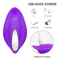 Wearable Remote Vibrating Butterfly Vibrant Toys for Women，Couples Interactive Toys，USB Charging Waterproof Underwear