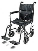 W/C TRANS SILVER VEIN STEEL 19 E&J