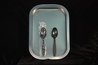 Black Heavy Weight Polypropylene Plastic Spoons (Case of 2000)