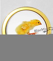 BlackKey Animal Chicken 3-Compartment Decorative Pocket Gift Box Case Organizer for Pill, Color 2-1789