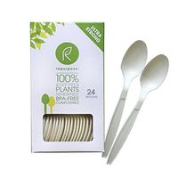 Repurpose 100% Compostable Plant-Based High Heat Spoons, 24 Count (Pack - 6)