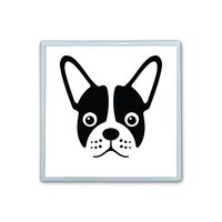 Contact Lens Box Holder Container Case Storage Eyecare Kit - Drool Pet Head