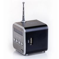 TD TD-V26-Ba Portable Mini Digital Speaker with Micro (Black)