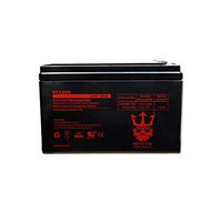 ExpertPower EXP1290-2 Black Replacement Battery (BX1300LCD, 2 x ExpertPower 12V 9Ah Sealed Lead Acid Batteries || EXP1290, APC Back-UPS 1300VA) by Neptune