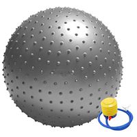Mynse Massage Ball 29.5" Extra Thick Yoga Ball Exercise Ball for Office Home Gym Anti-Burst Sensory Integration Training Ball Silvery