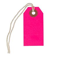 JAM PAPER Gift Tags with String - Tiny - 2 3/4 x 1 3/8- Neon Pink - 10/Pack
