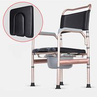 BINZHI Bedside Elderly Toilet Chair Aluminum Alloy Pregnant Chair Home Folding Toilet Suitable for Disabled Adults Pregnant Women Bedside Toilet (Color : D)