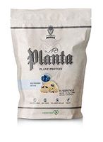 Ambrosia Planta - Premium Organic Plant-Based Protein | Vegan & Keto Friendly | Gourmet Flavors with No Bloating or Stomach Upset | Gluten & Soy Free | No Added Sugar | 25 Servings | Blueberry Scone