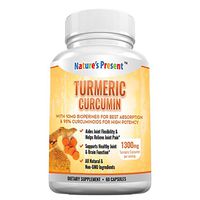 Turmeric Curcumin with Bioperine and 95% Standardized Curcuminoids, Best Absorption and Max Potency, Anti-inflammatory, Joint Pain Relief and Antiaging Supplement, GMP Certificated, 60 Capsules