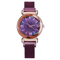AMOUSTORE Women Quartz Watch for Starlight Dial, Wrist Watches for Business Dress (Purple)