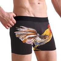 WXLIFE Animal Rooster Chicken Cock Boxer Briefs Men's Underwear for Men Boy