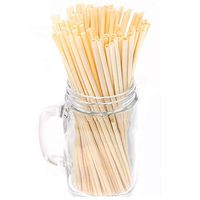 5" Natural Wheat Disposable Drinking Straws, Biodegradable BPA Free Eco-Friendly Organic (500)