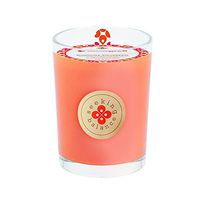 Root Candles Seeking Balance Beeswax Blend Candle, 8-Ounce, Energize: Rosemary Eucalyptus
