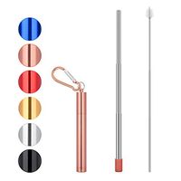 Reusable Drinking Metal Straws - Portable Stainless Steel Telescopic Collapsible Straw with Case, Silicone Tip, Cleaning Brush, Keychain (Rose gold)