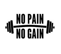 JS Artworks No Pain no gain Vinyl Decal Sticker Gym Fitness Workout Cardio (Black)