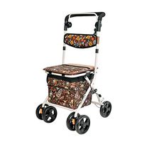 GYZ GY Elderly Walker, Lightweight Disabled Car Can Sit with Wheels Folding Portable Medical Supplies (Color : A)