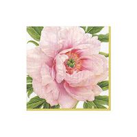 Caspari Blush Paper Cocktail Napkins - 20 Per Package