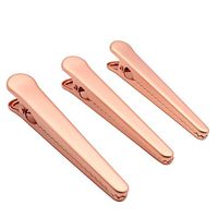 Dianoo 3 PCS Chip Bag Clips, Food Sealing Stainless Steel Clips For Kitchen, 11.5 CM (Rose)