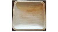 USDA Certified 100% Biobased Disposable Tableware (10, 6 Inch Square)