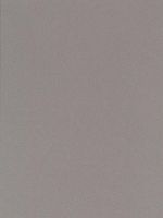 Canson Mi-Teintes Mat Board flannel gray 16 in. x 20 in. [PACK OF 5 ]