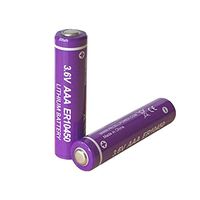 3.6V ER10450 AAA Lithium Batteries 2Pcs